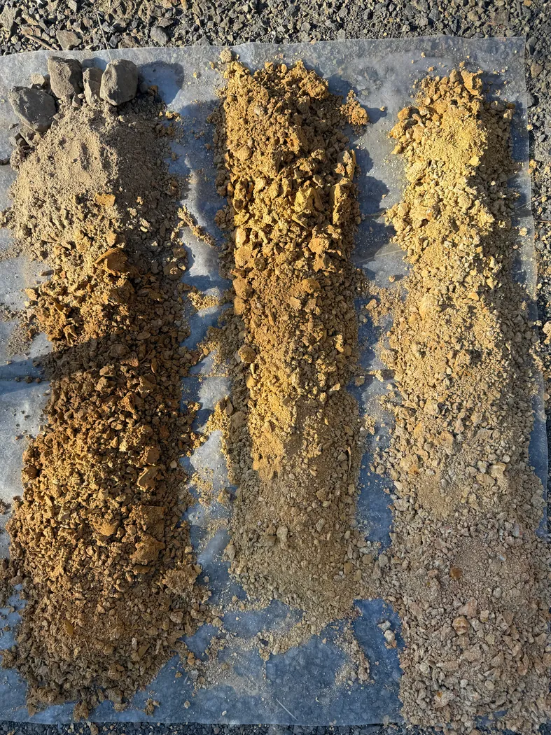 Rows of excavated soil samples showing differences in colour and texture