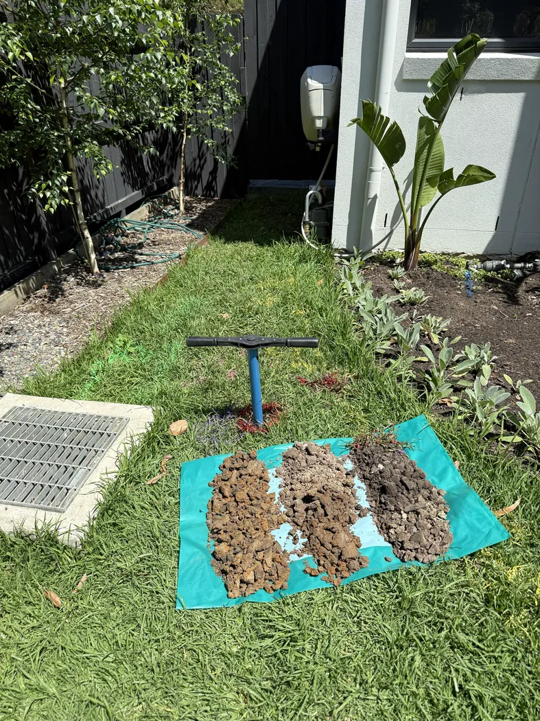 Hand-auger investigation and soil samples on a lawn beside a house