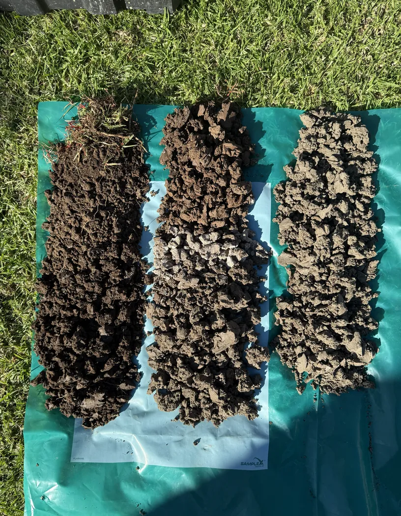 Three rows of soil samples laid out on a green sheet for examination