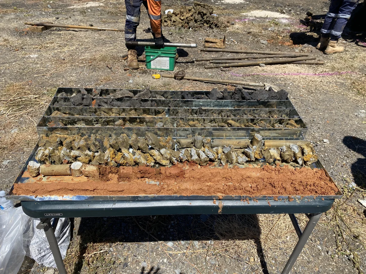 Recovered soil samples arranged in trays on a field table at the Lyndhurst investigation site.